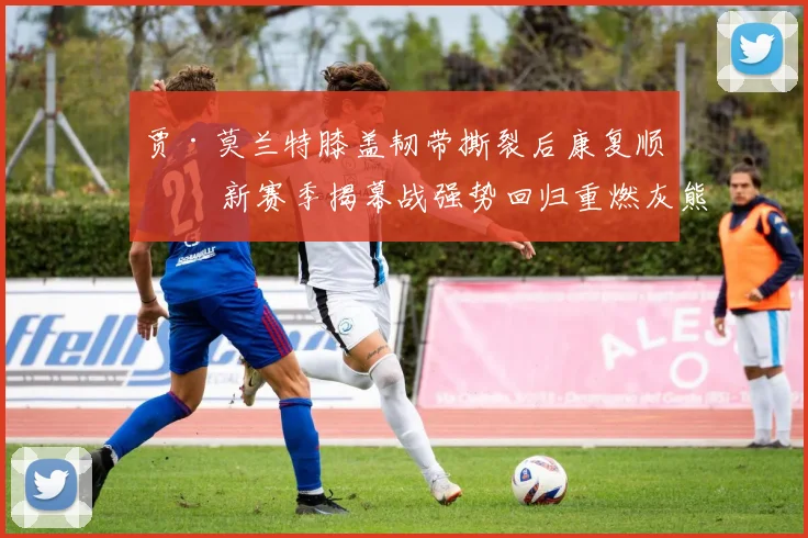 贾·莫兰特膝盖韧带撕裂后康复顺利 新赛季揭幕战强势回归重燃灰熊崛起火焰