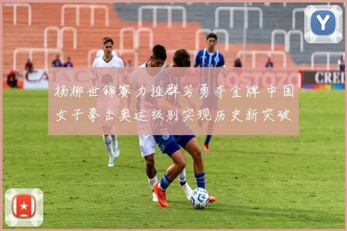 杨柳世锦赛力挫群芳勇夺金牌 中国女子拳击奥运级别实现历史新突破